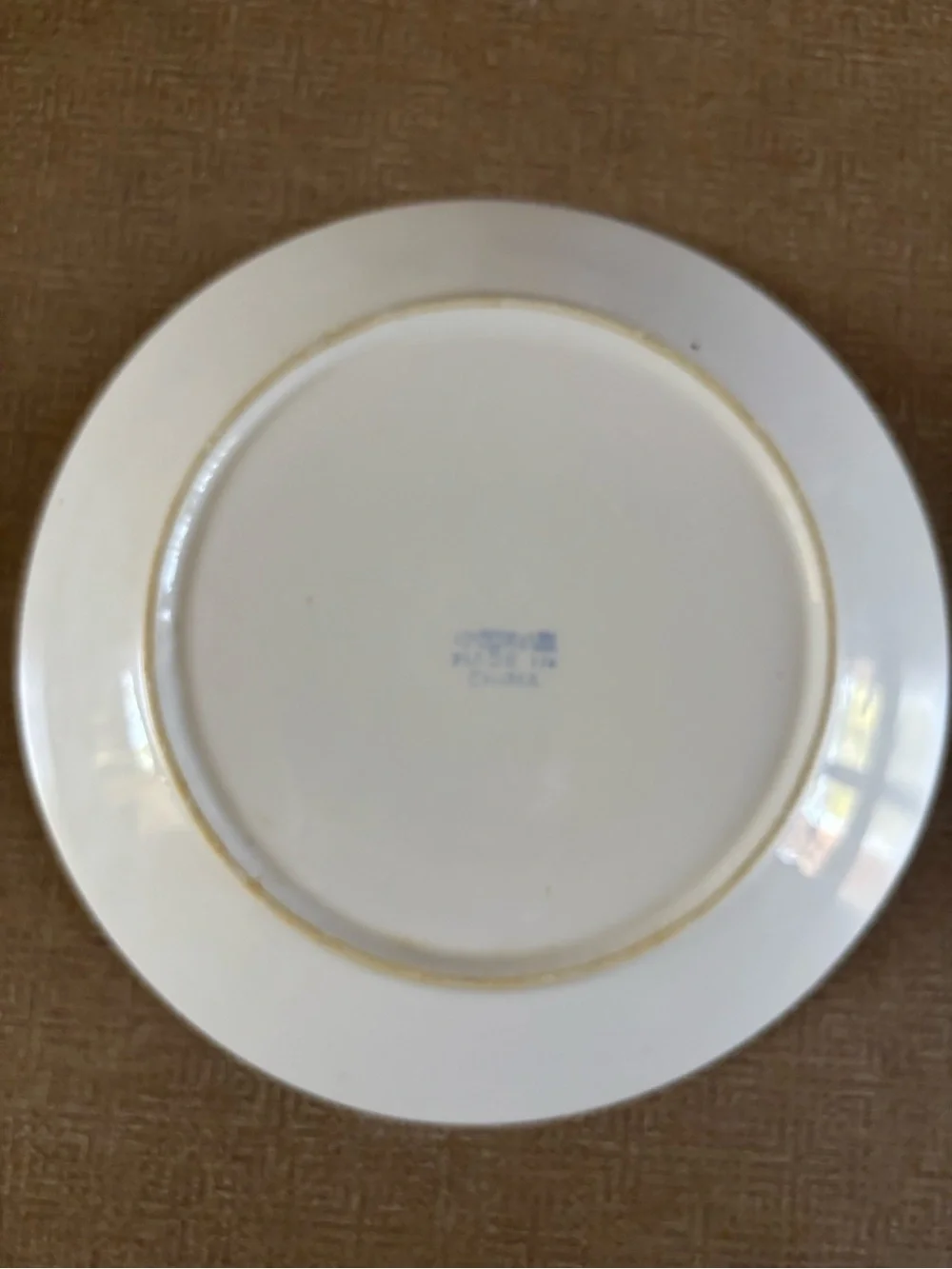 White Ceramic Fish Accent Plate in Blue - Decorative Pet Fish Motif